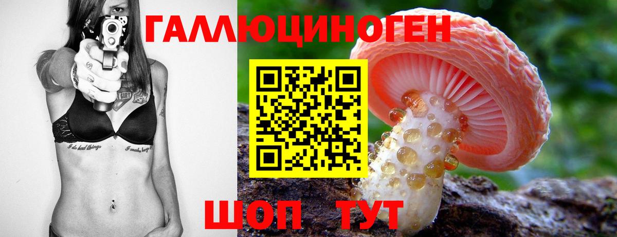 Галлюциногенные грибы GOLDEN TEACHER  Вход с VPN  где можно купить наркотик  Истра 